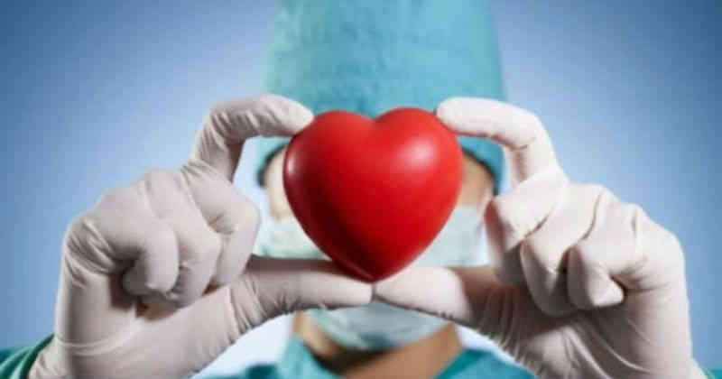 Mitos sobre la donación de órganos