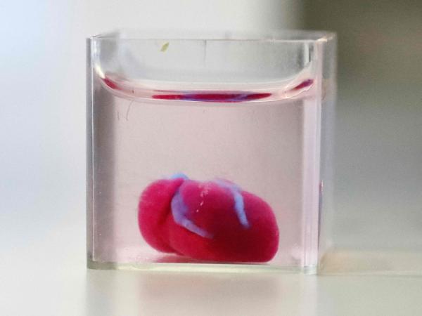 Éste es el primer corazón impreso en 3D con células humanas